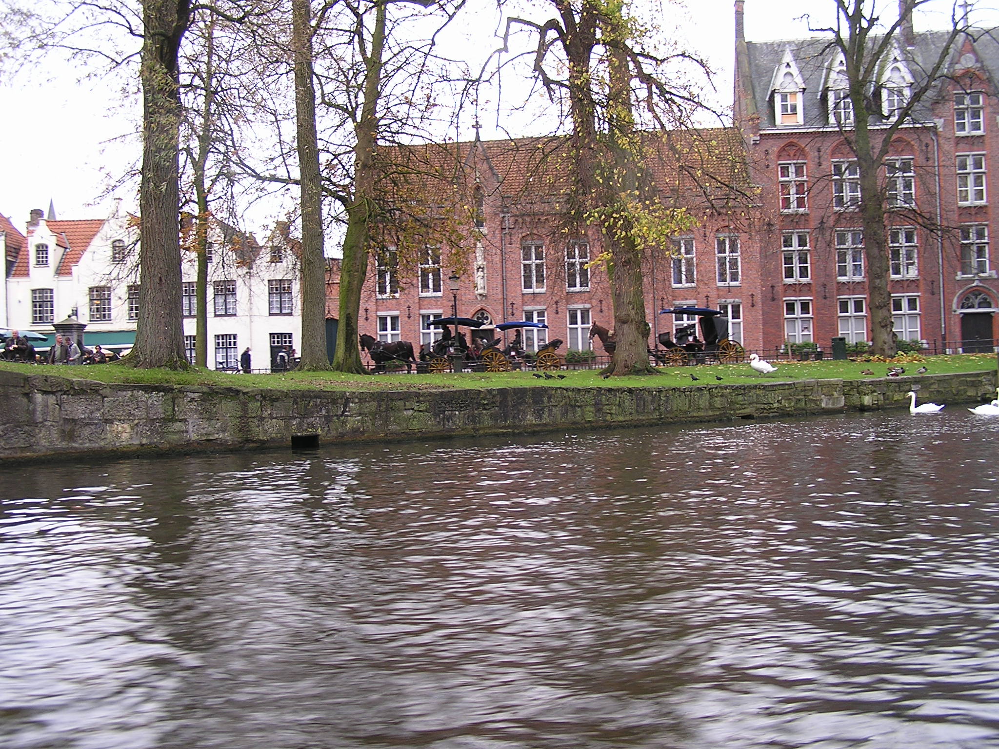 P1010083.JPG