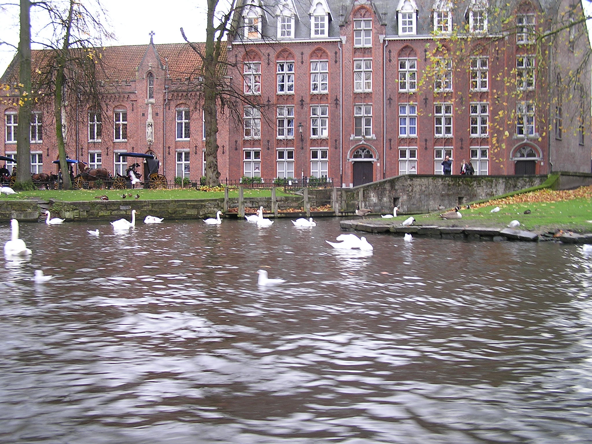 P1010084.JPG
