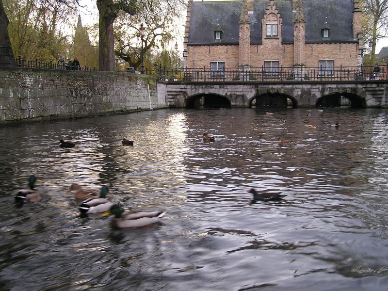 P1010087.JPG