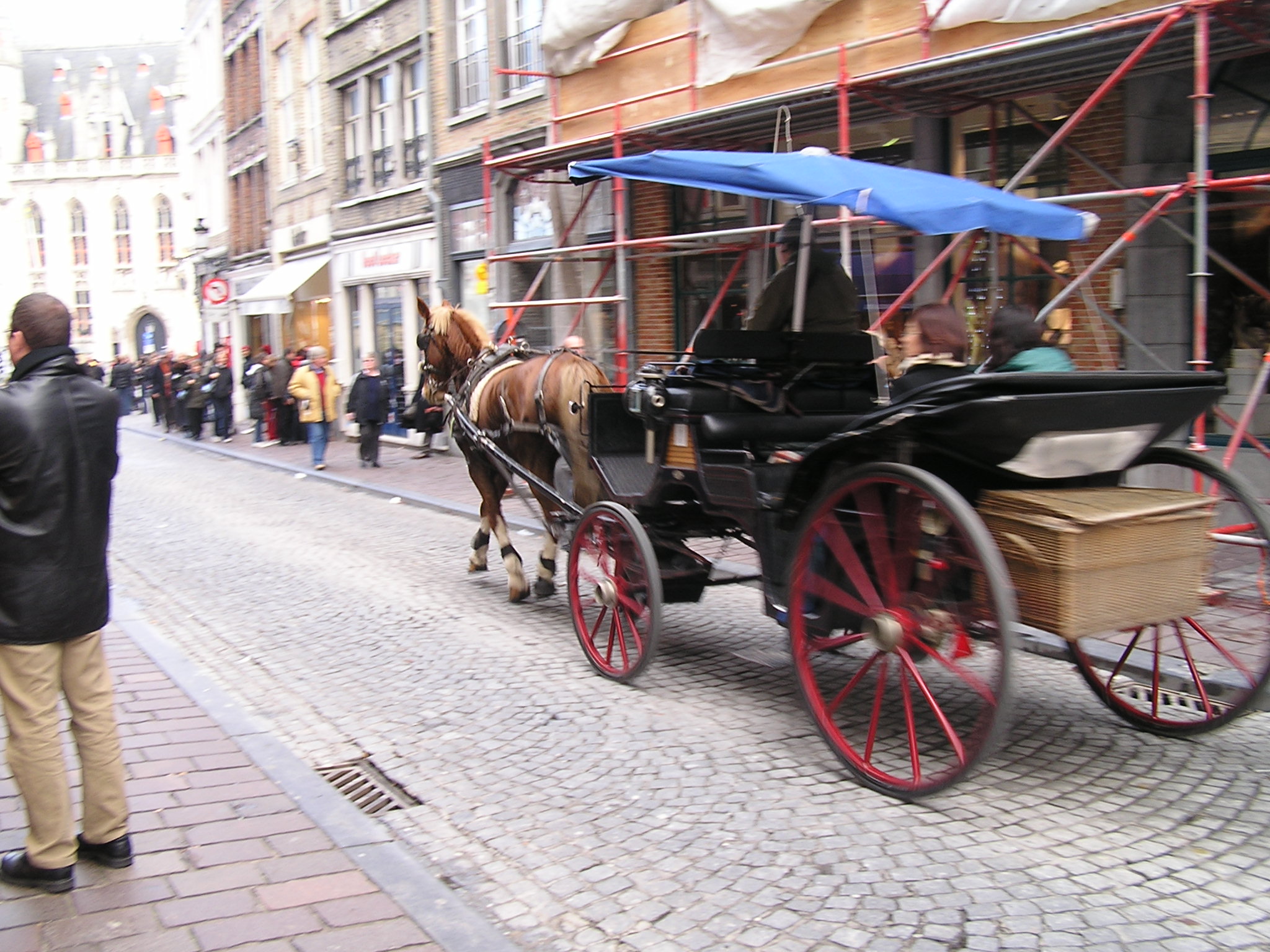 P1010178.JPG
