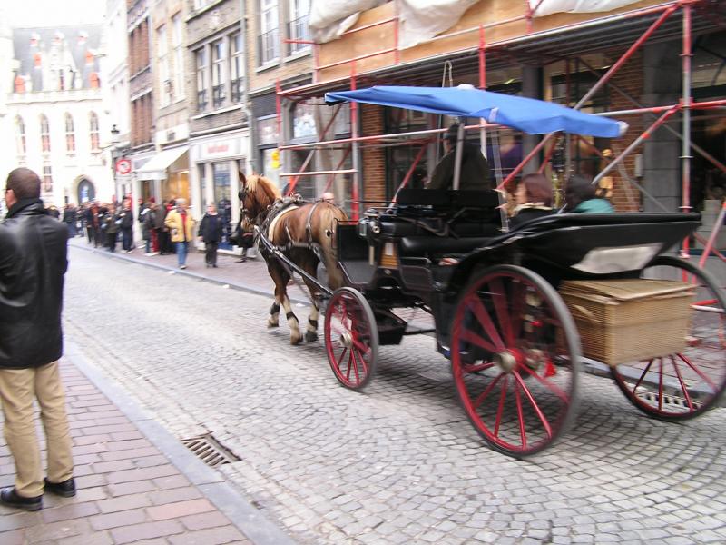 P1010178.JPG