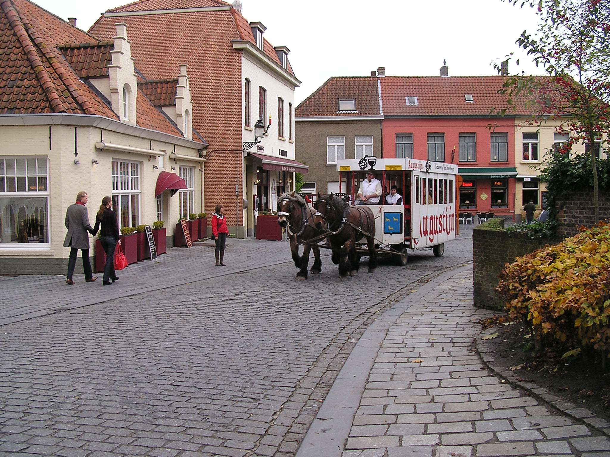 P1010214.JPG