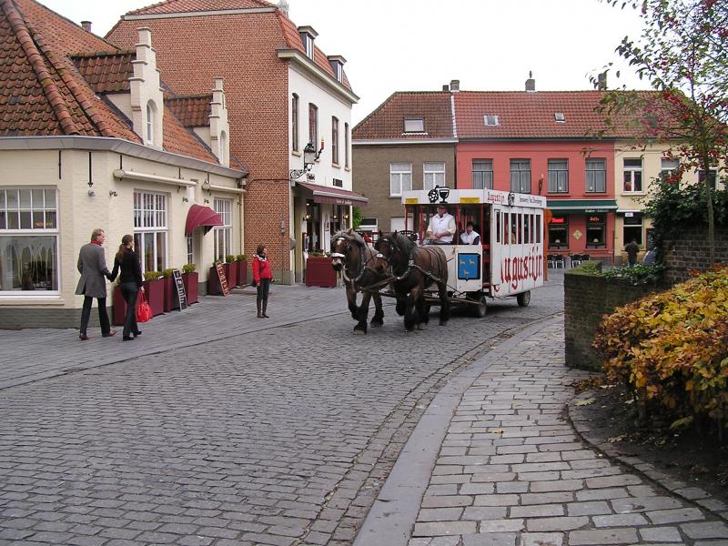 P1010214.JPG