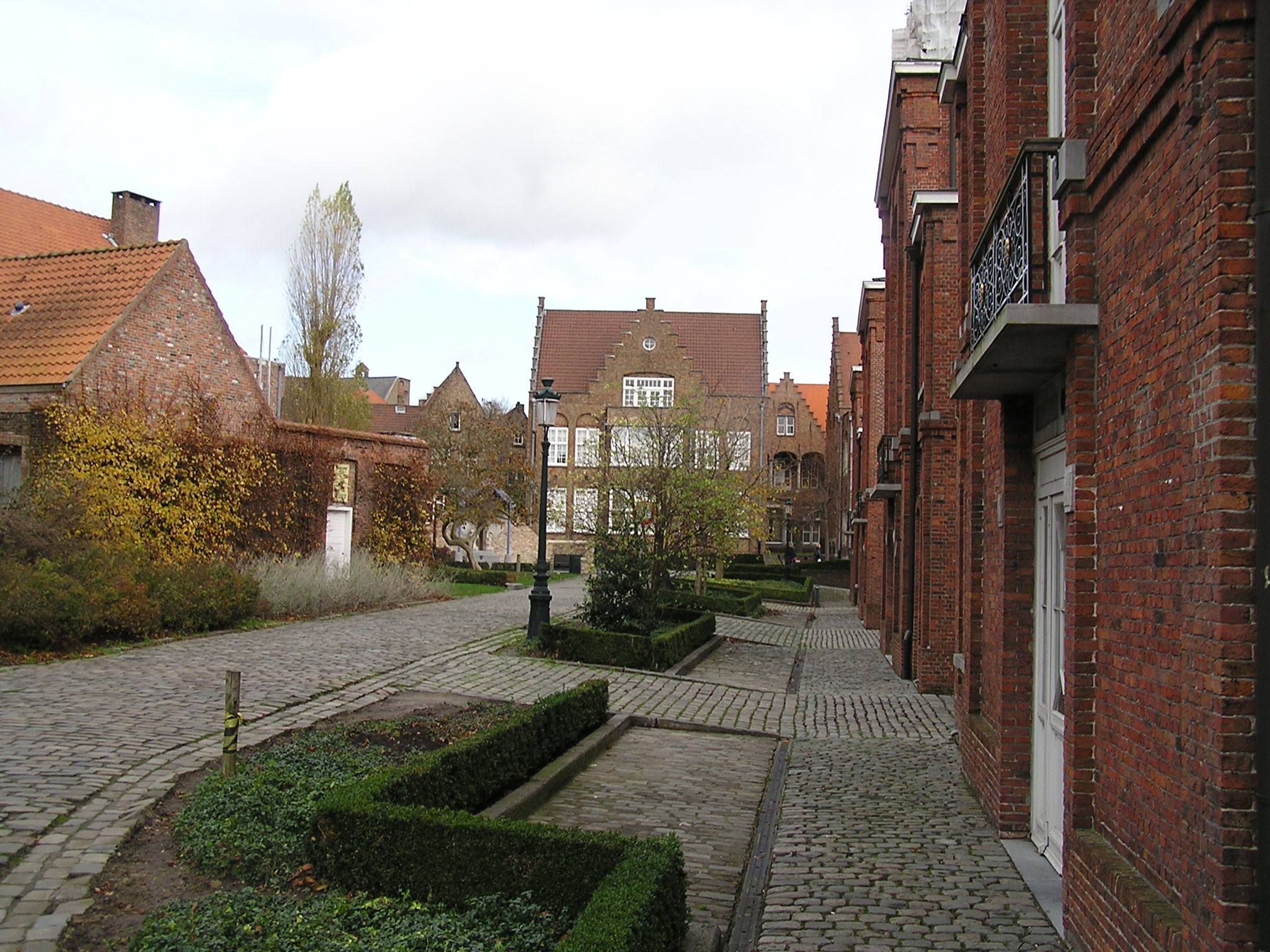 P1010223.JPG