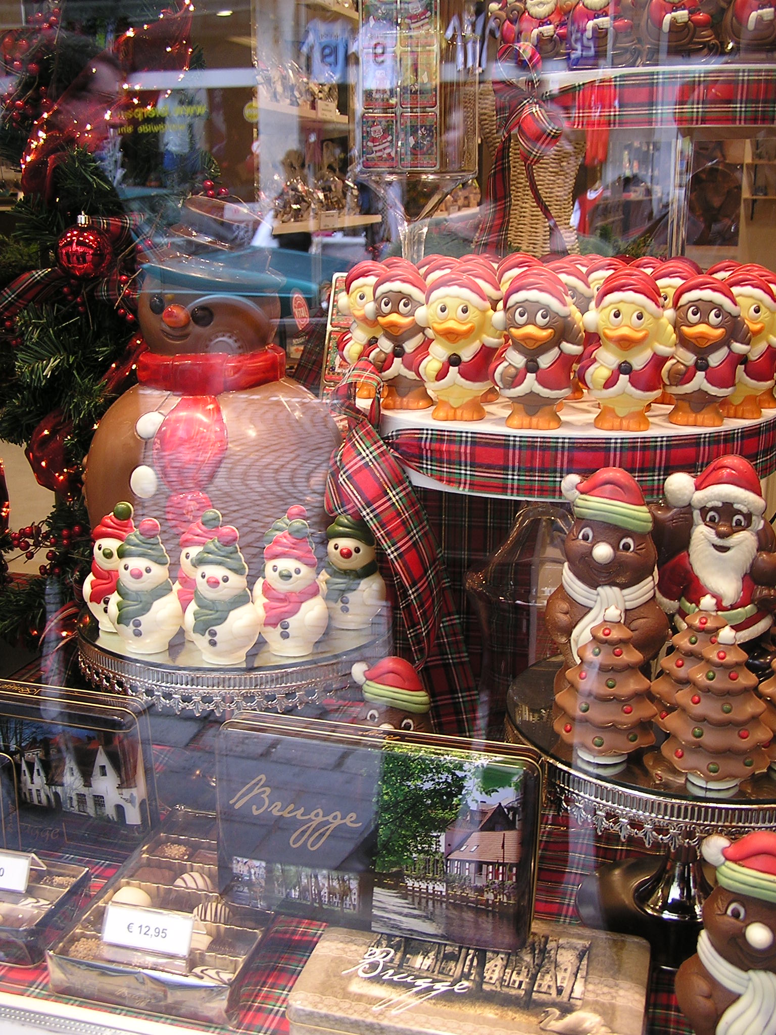 P1010246.JPG
