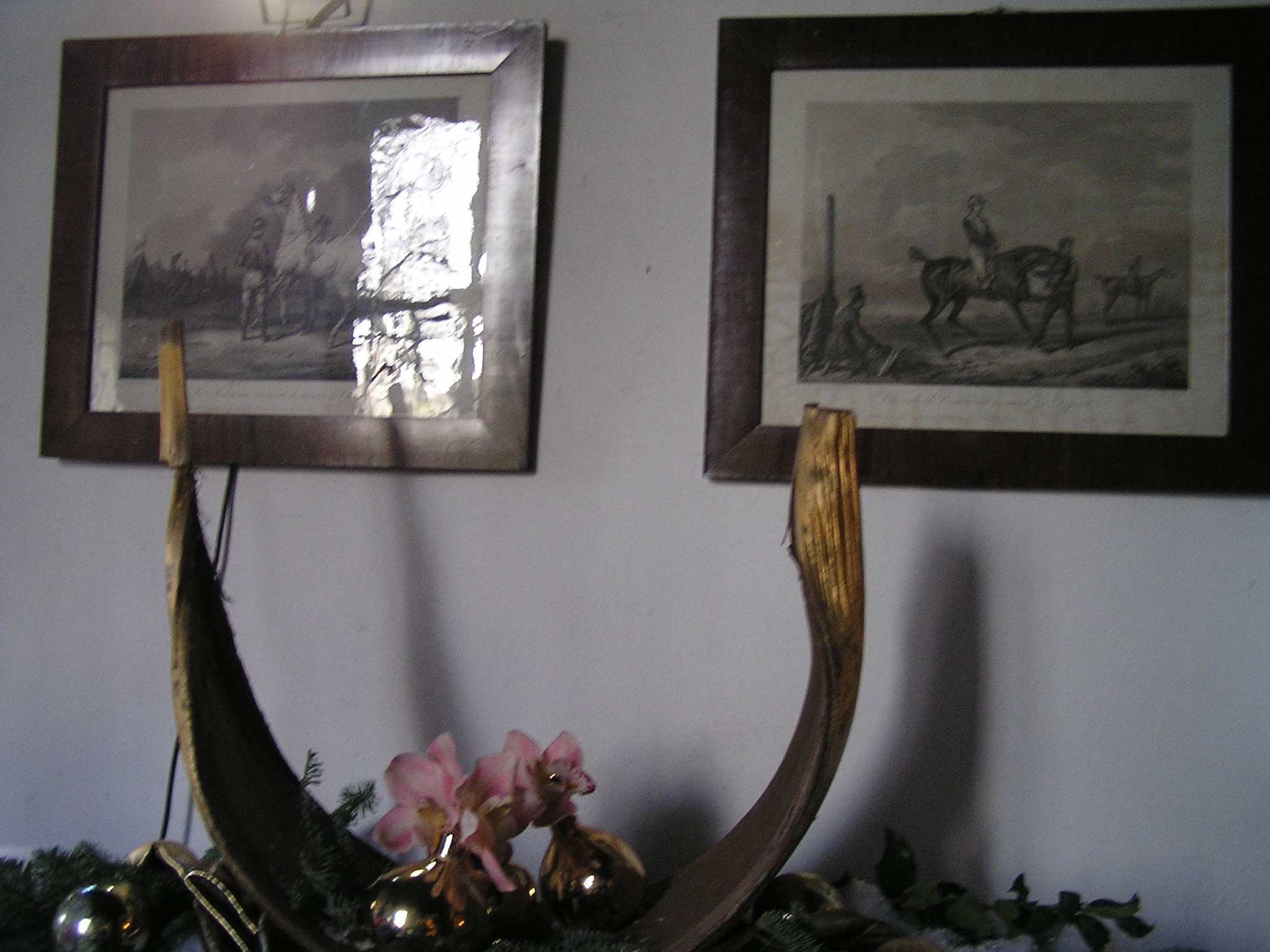 P1010039.JPG