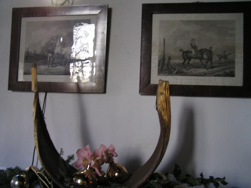 P1010039.JPG
