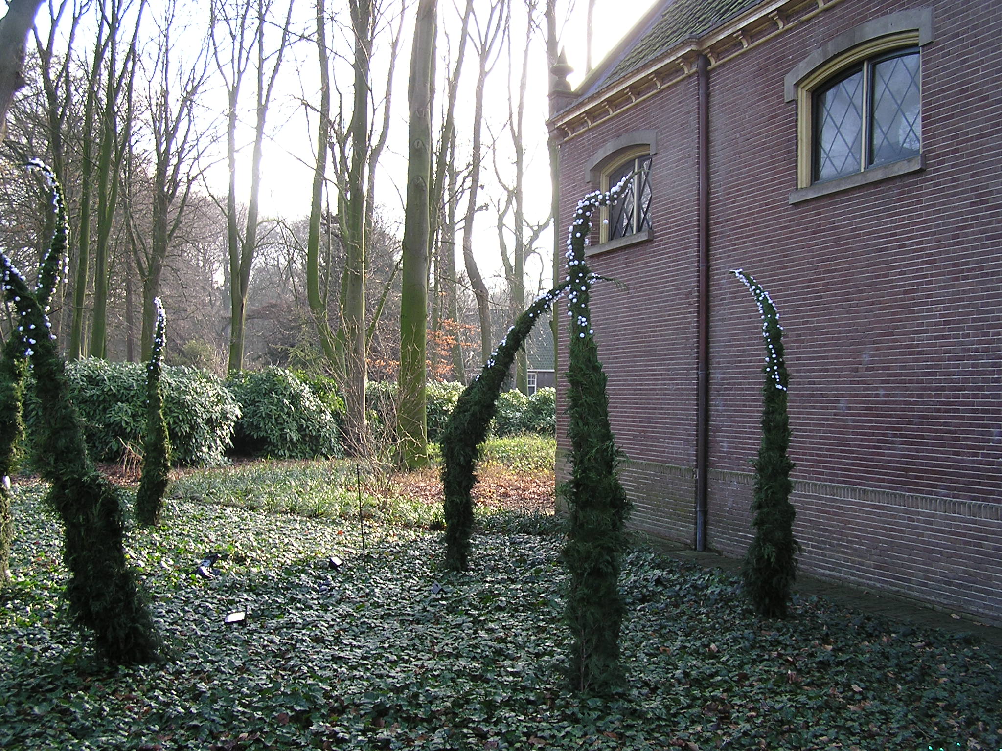 P1010045.JPG