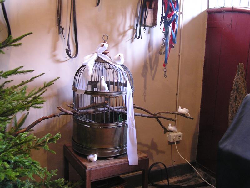 P1010049.JPG