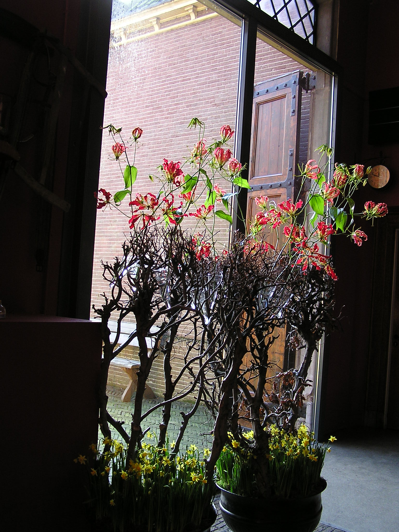 P1010057.JPG