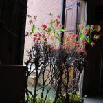 P1010057.JPG