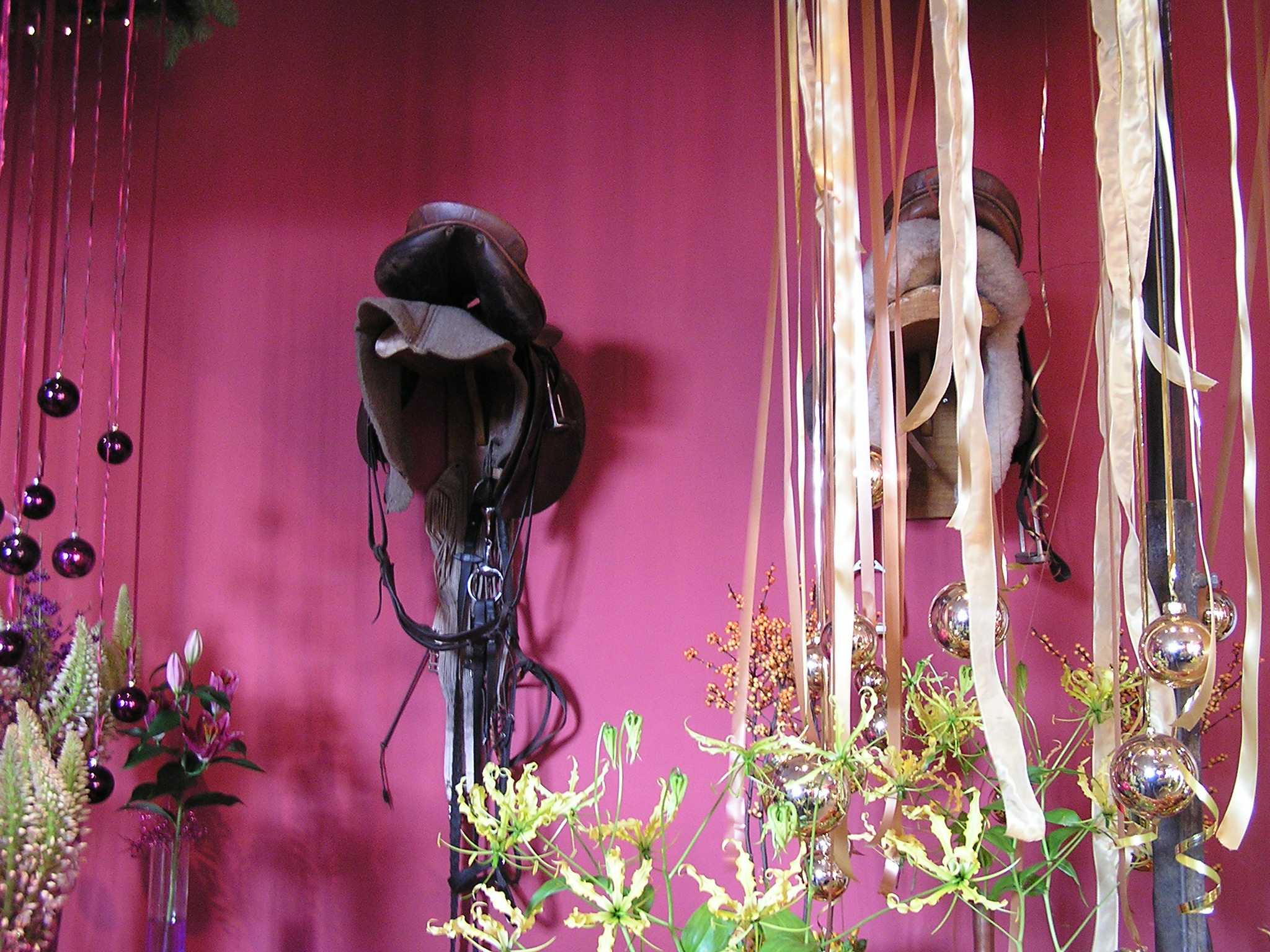 P1010063.JPG