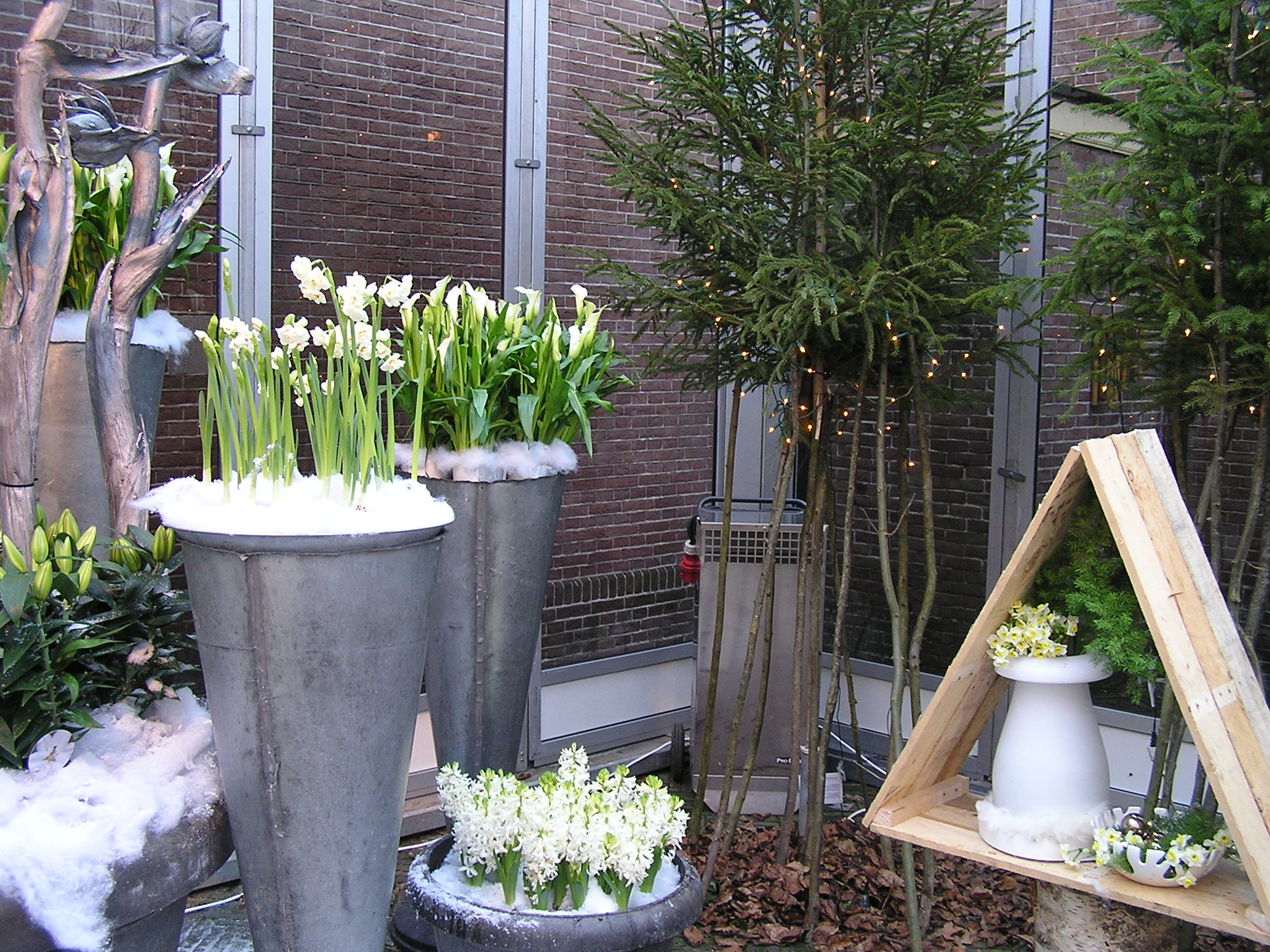 P1010072.JPG