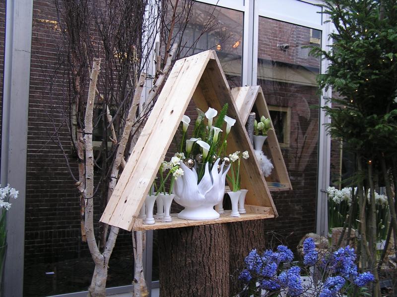 P1010074.JPG