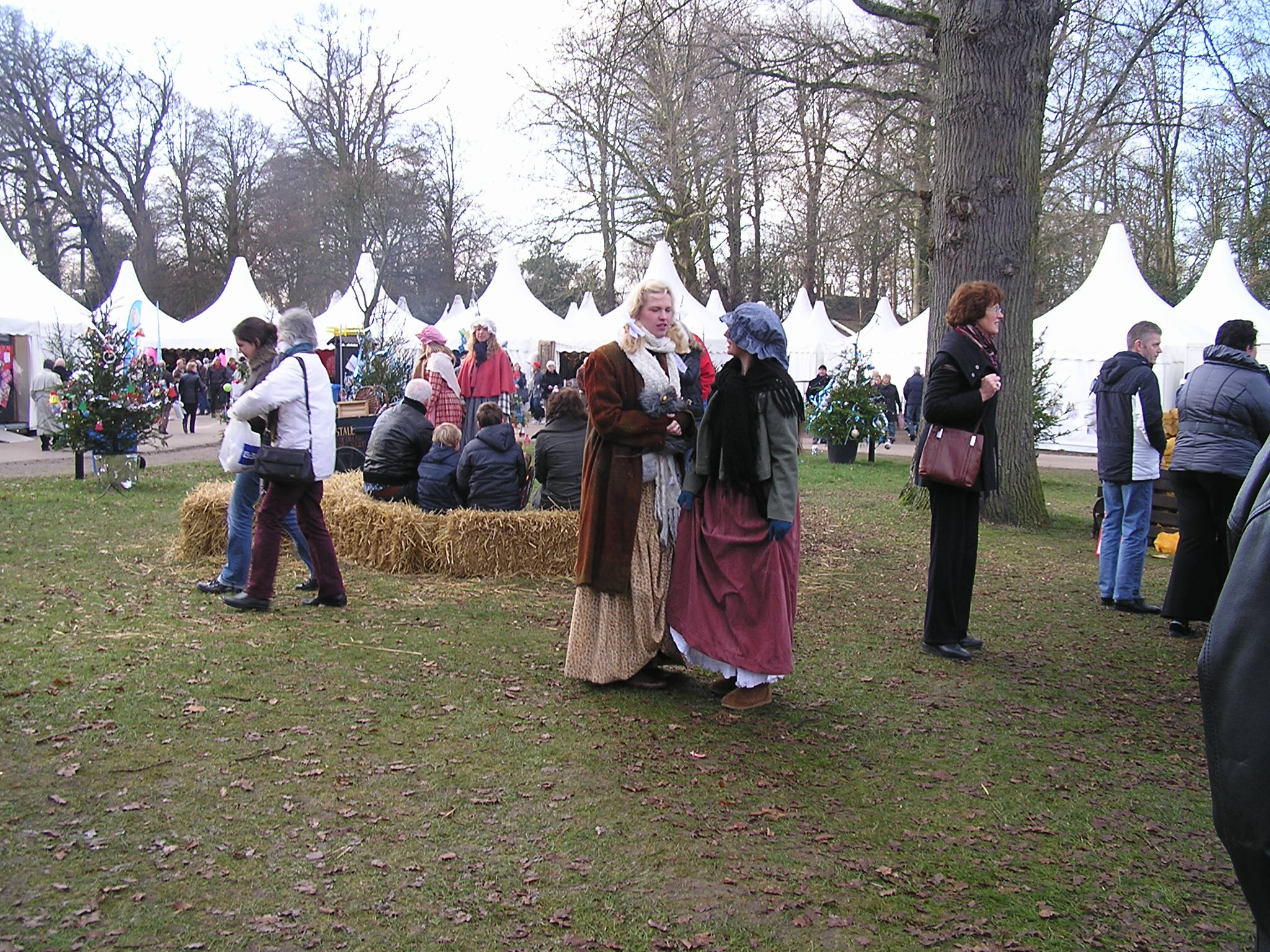 P1010141.JPG