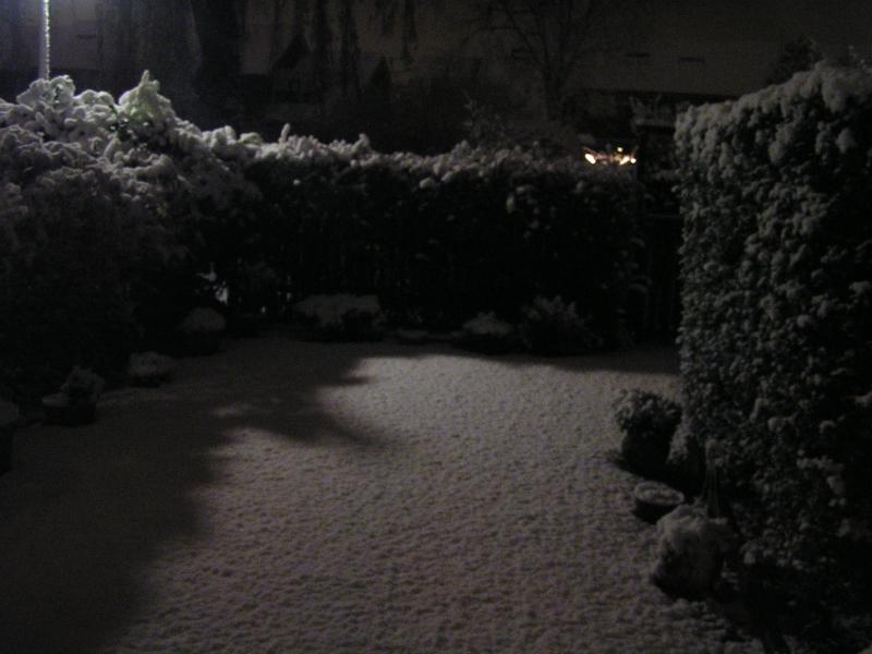 p1010001.jpg
