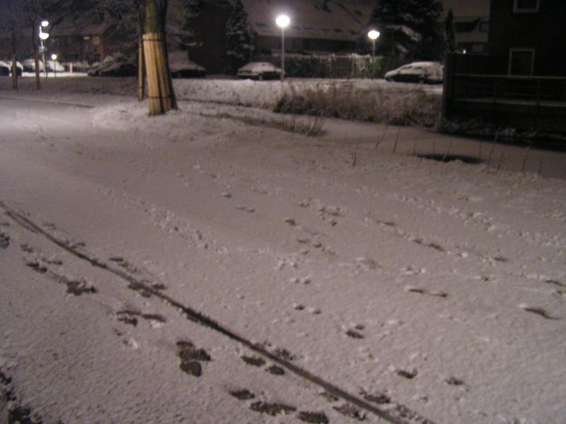 p1010003.jpg