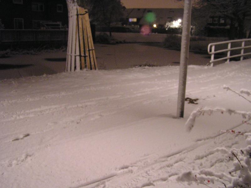 p1010004.jpg