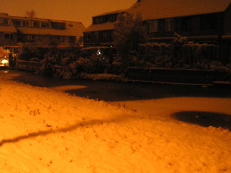 p1010007.jpg