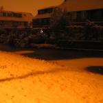 p1010007.jpg