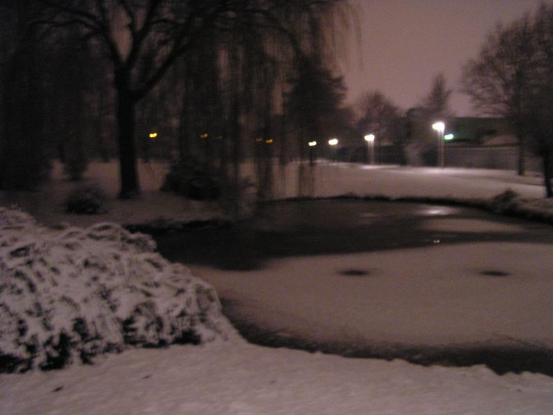 p1010008.jpg