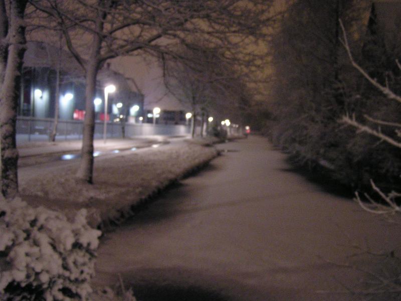 p1010009.jpg