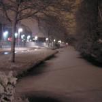 p1010009.jpg