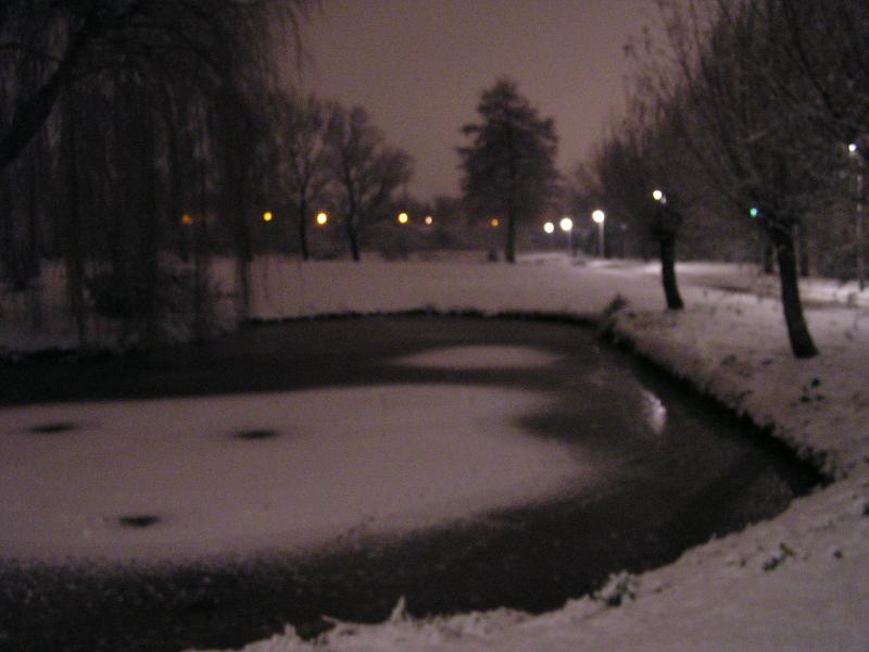 p1010010.jpg