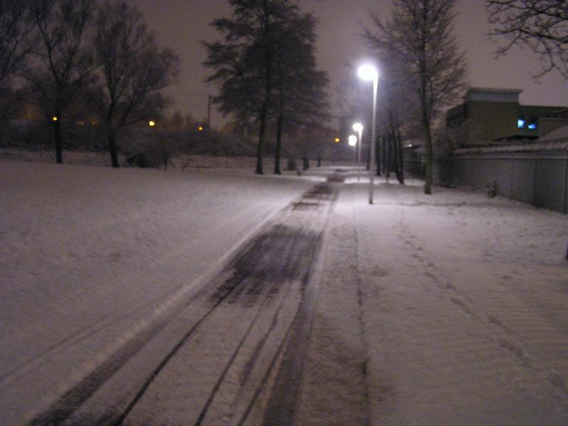 p1010011.jpg