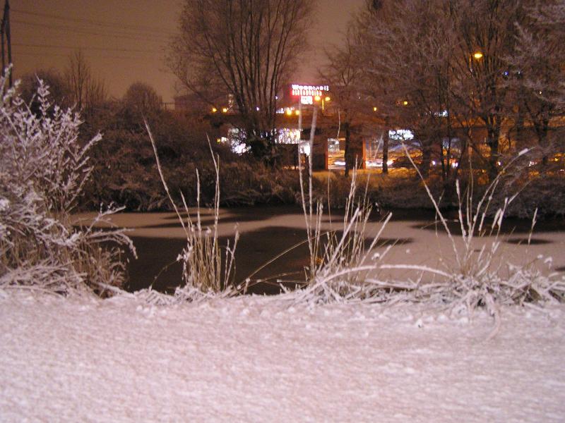p1010017.jpg