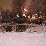 p1010017.jpg