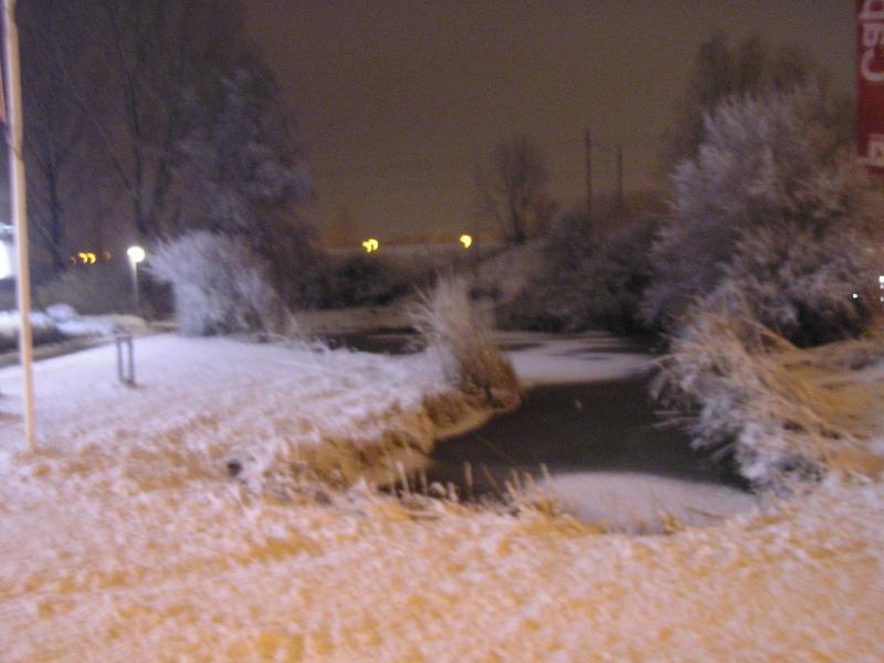 p1010019.jpg