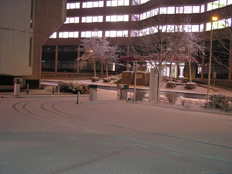 p1010027.jpg