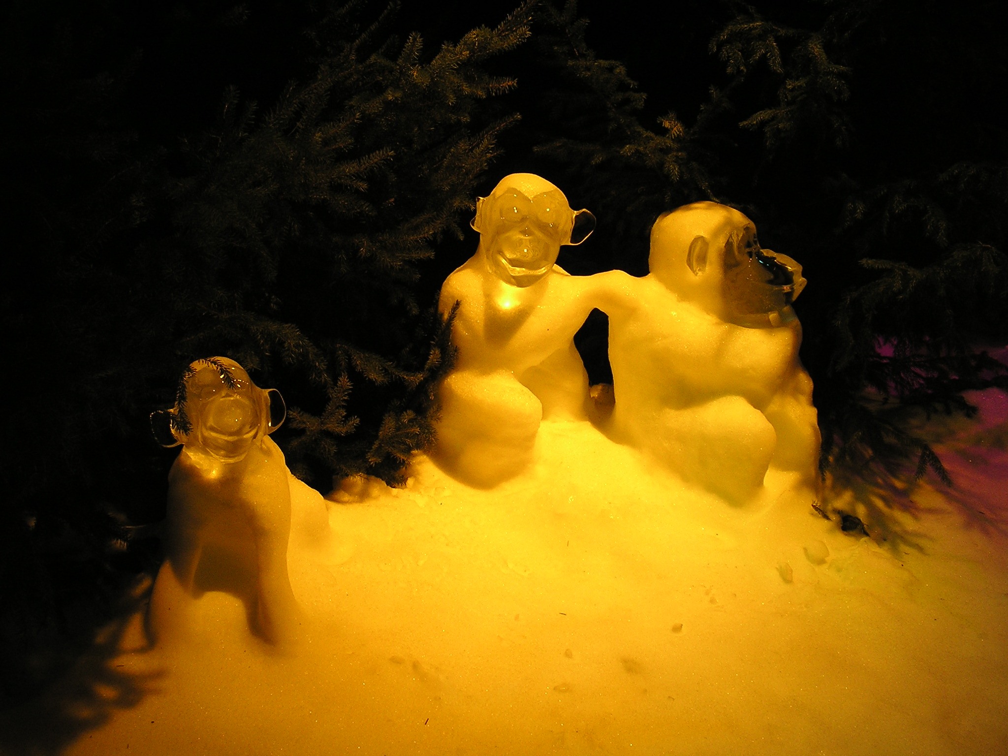 P1010044.JPG