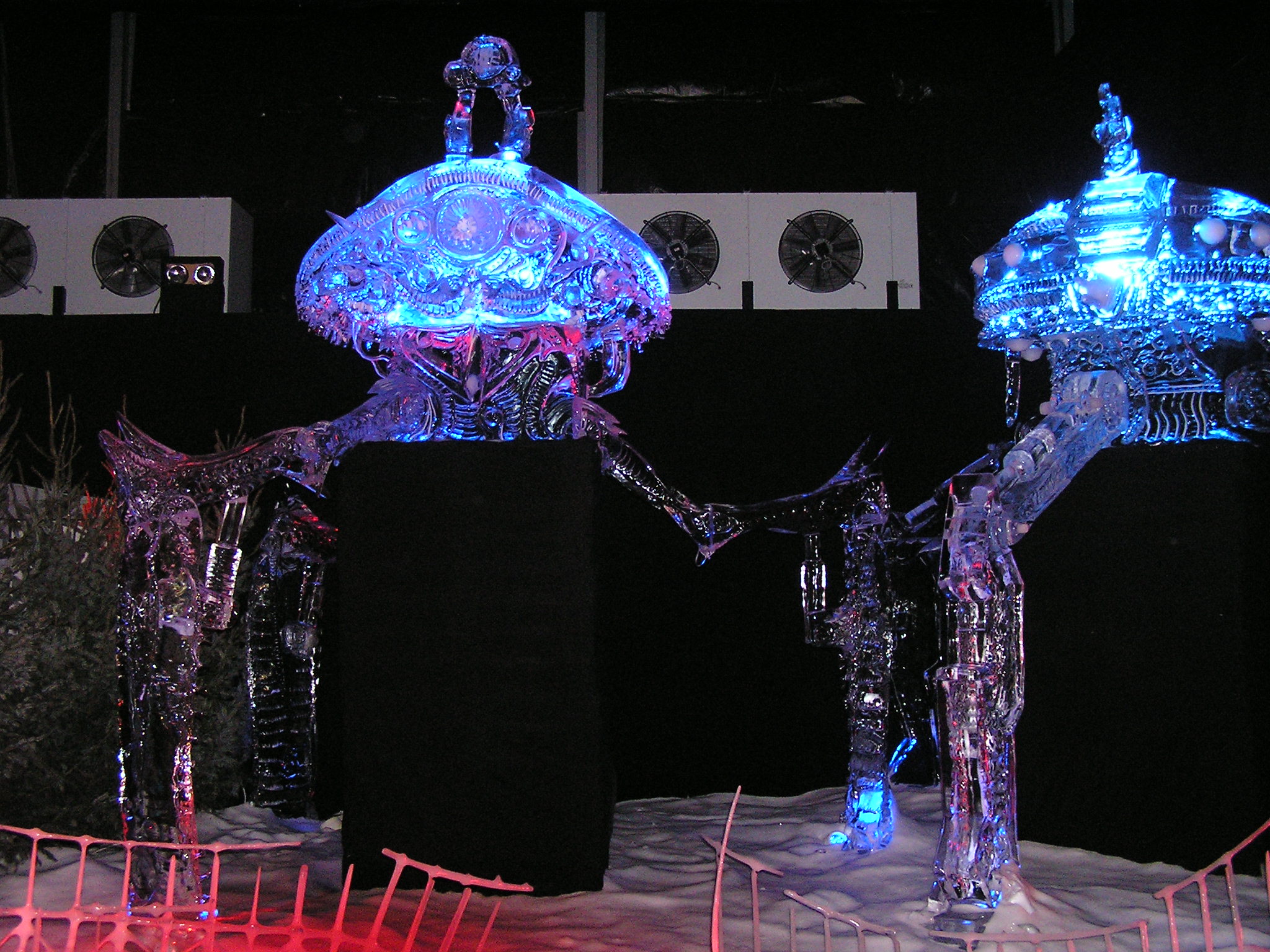 P1010049.JPG