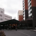P1010066.JPG