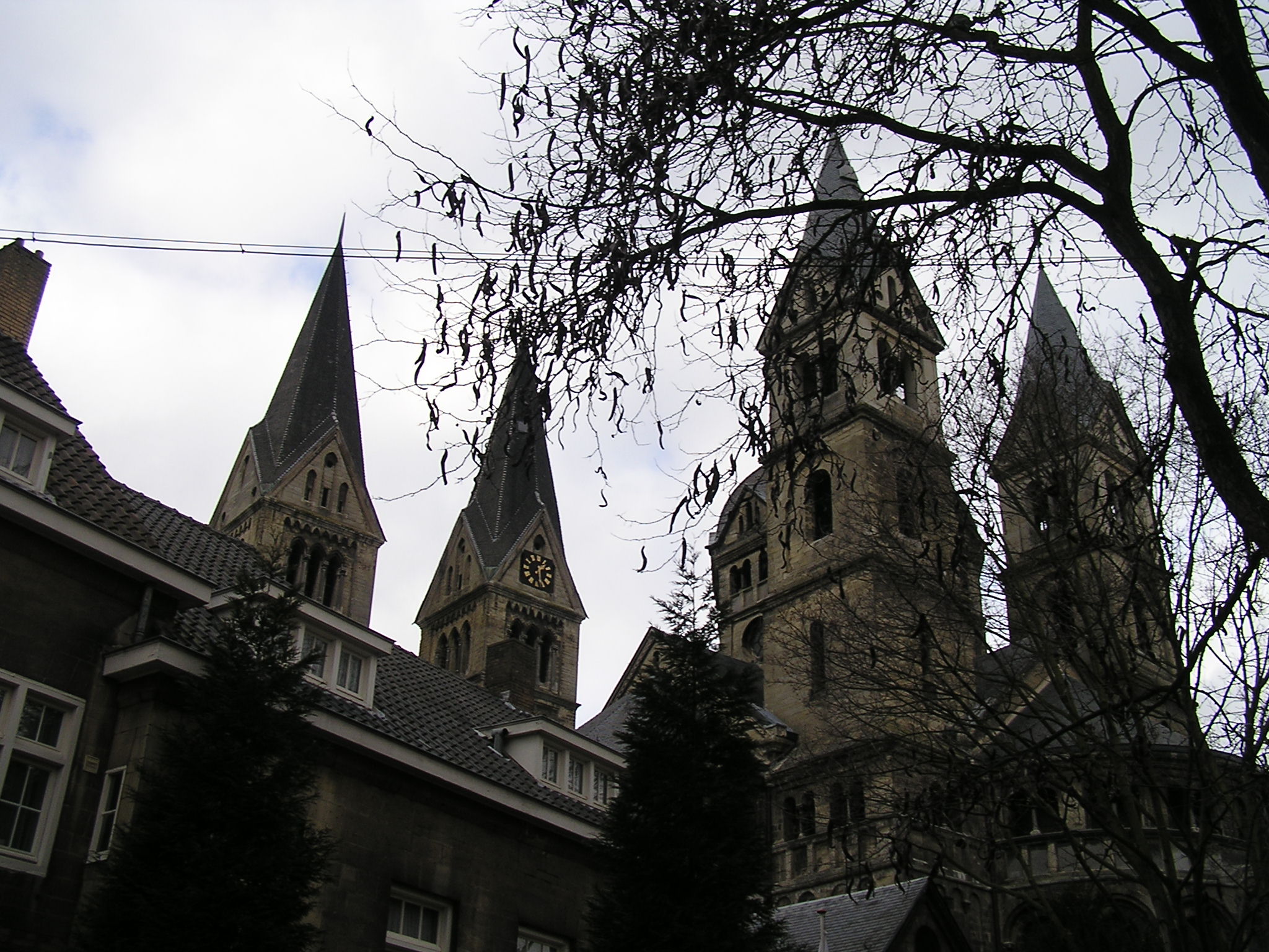 P1010119.JPG