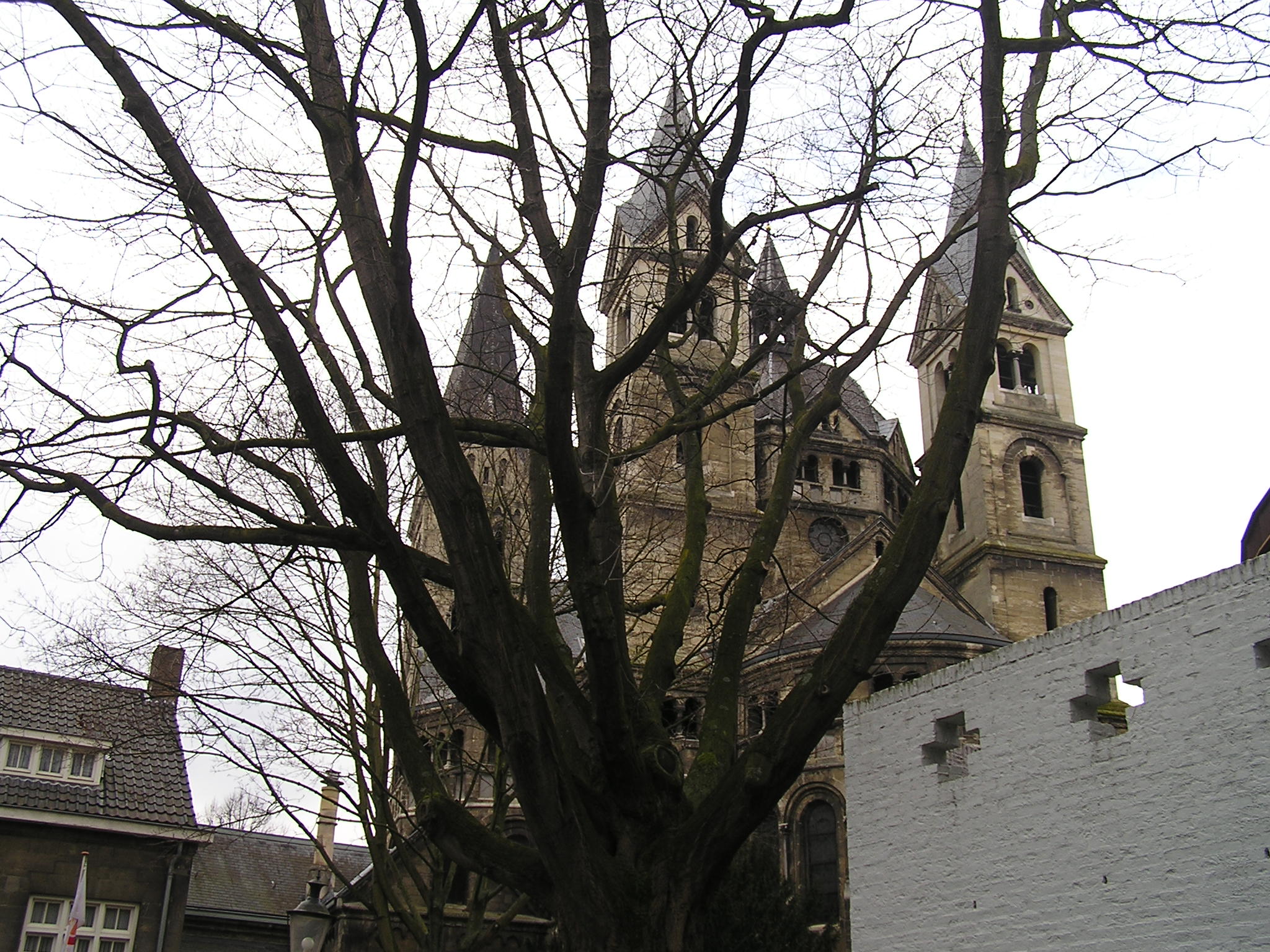 P1010121.JPG
