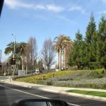 P1010062.JPG