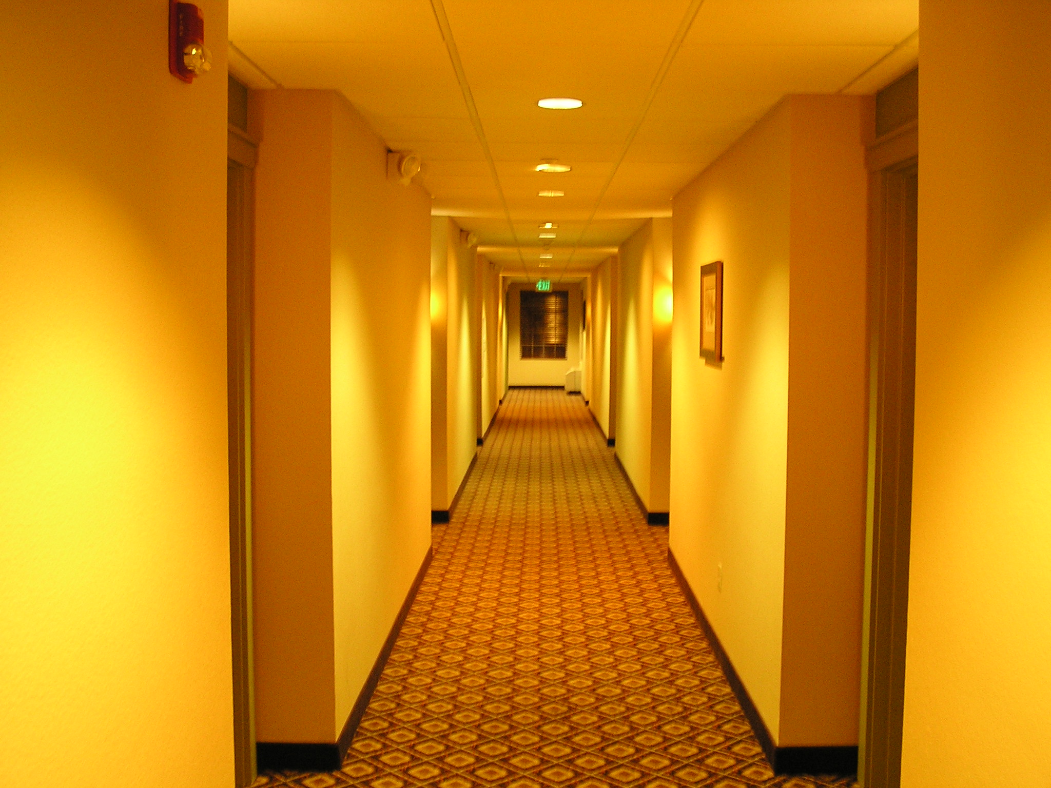 P1010070.JPG