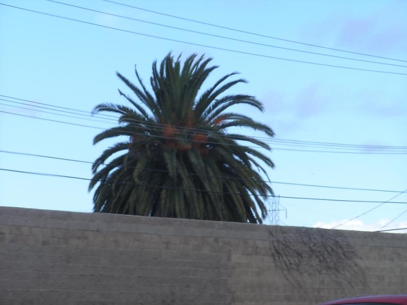 P1010051.JPG