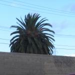 P1010051.JPG