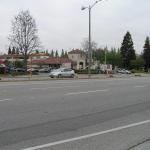 P1010009.JPG