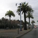 2010. 02. 26. - San Francisco oda-vissza kocsiból