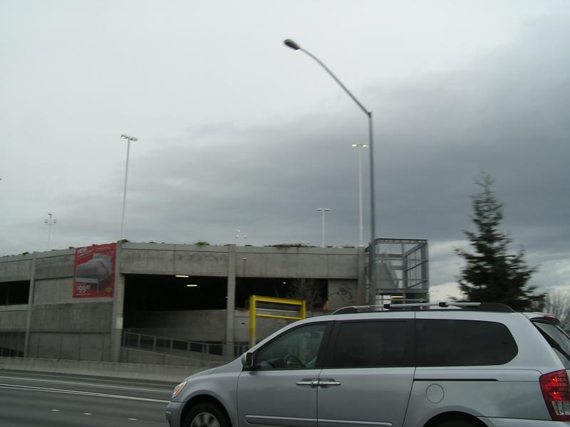 P1010007.JPG