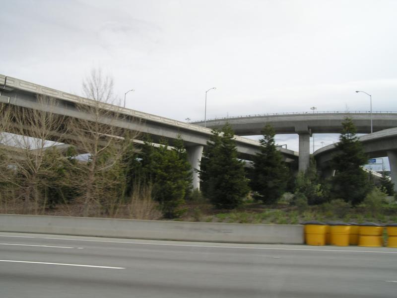 P1010016.JPG
