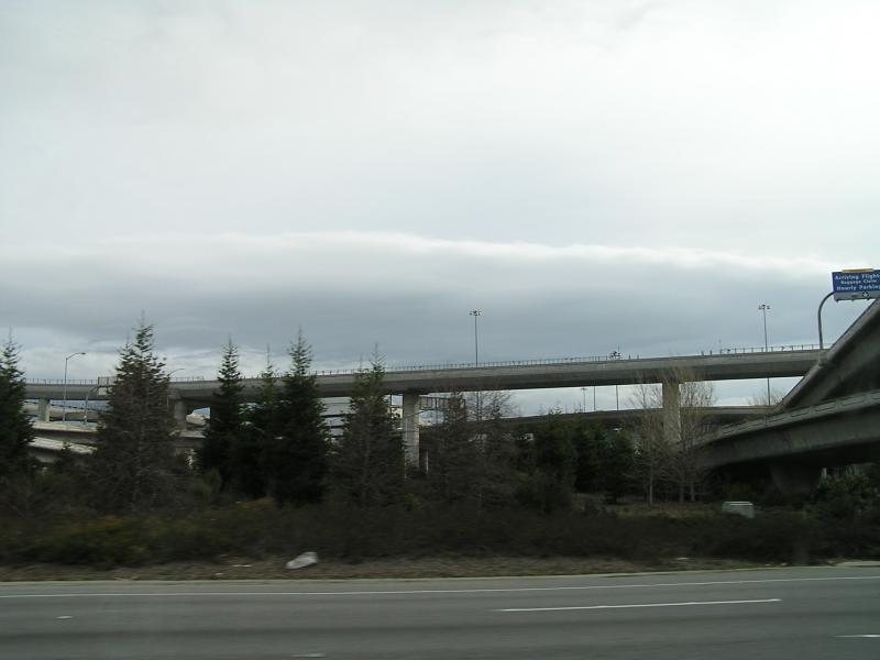 P1010017.JPG