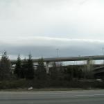 P1010017.JPG