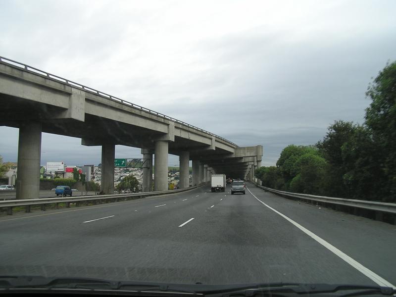 P1010029.JPG
