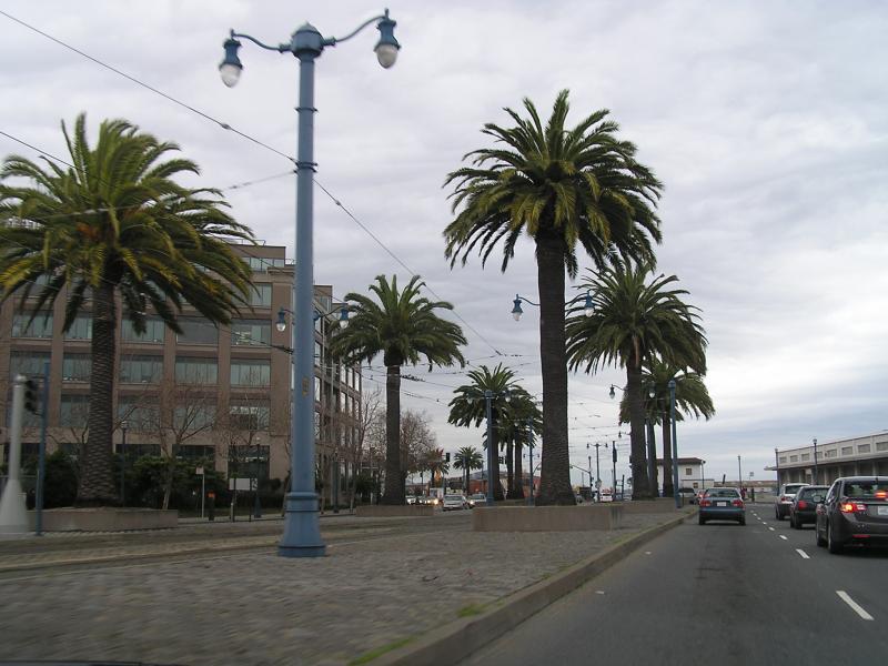 P1010064.JPG